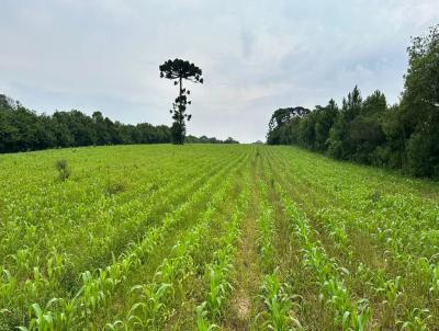 Terreno para Venda, em Curitiba, bairro Umbar, 1 banheiro